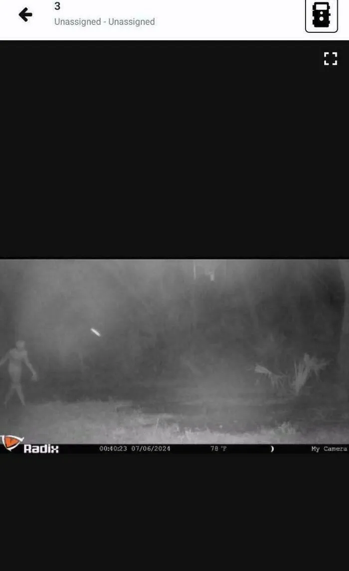 Monochrome security camera capture showing creepy photos of a strange humanoid figure walking through a dark yard.