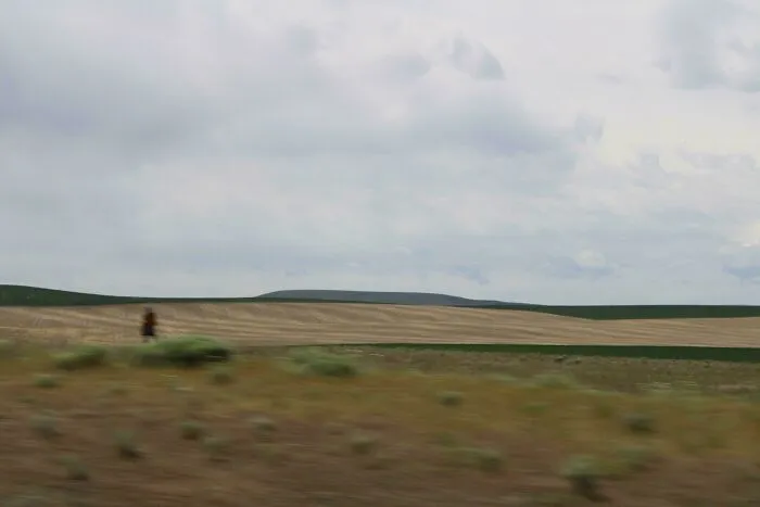 A lonely blurred figure standing in a vast field, creating creepy photos vibes
