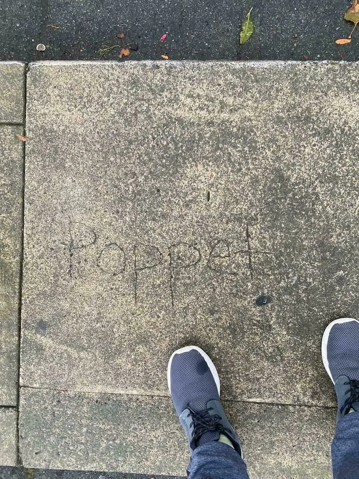The word Poppet etched into a concrete sidewalk, one of many creepy photos with unexplained details.