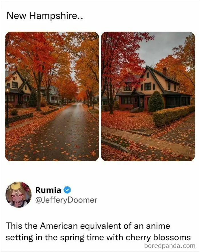 Scenic New Hampshire fall foliage photos shared as funny memes to friends.