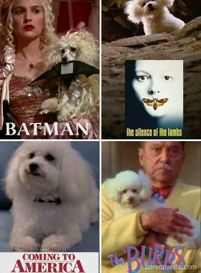 90s nostalgic memes collage of white poodle dogs from 90s movies