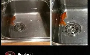 54 Times People Embarrassed Themselves Online And Got Hilariously Roasted (New Pics)