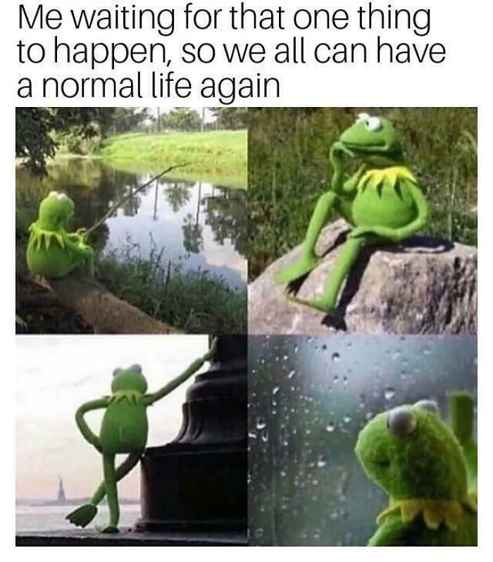 Kermit frog waiting and reflecting for normal life to return meme