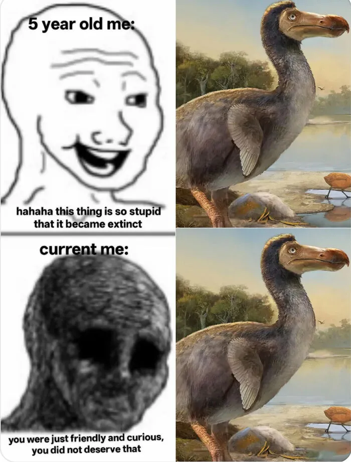 5 year old vs current me reaction to extinct bird meme