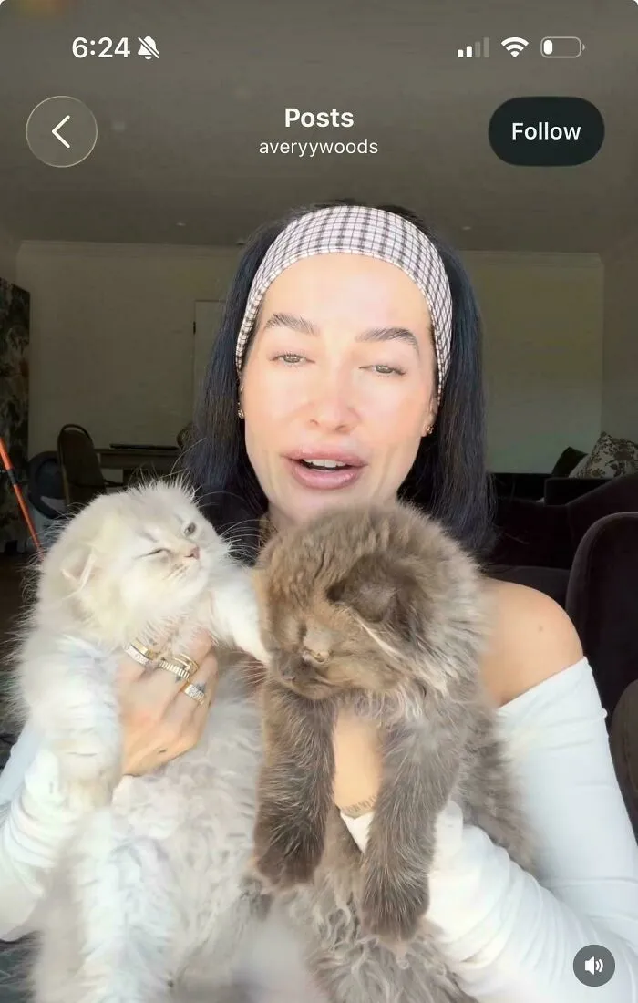 Woman holding two fluffy cats in video post from influencer