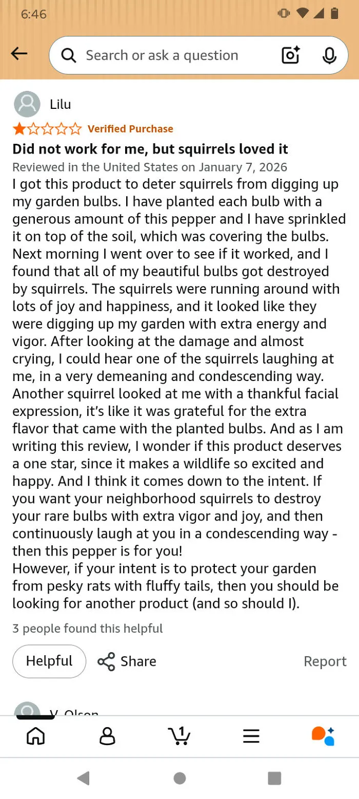 Funny Amazon review about a product that did not deter squirrels from garden bulbs