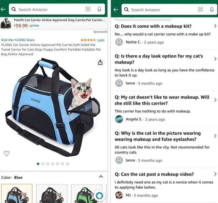 Funny Amazon Q&A about cat carrier and cat wearing makeup