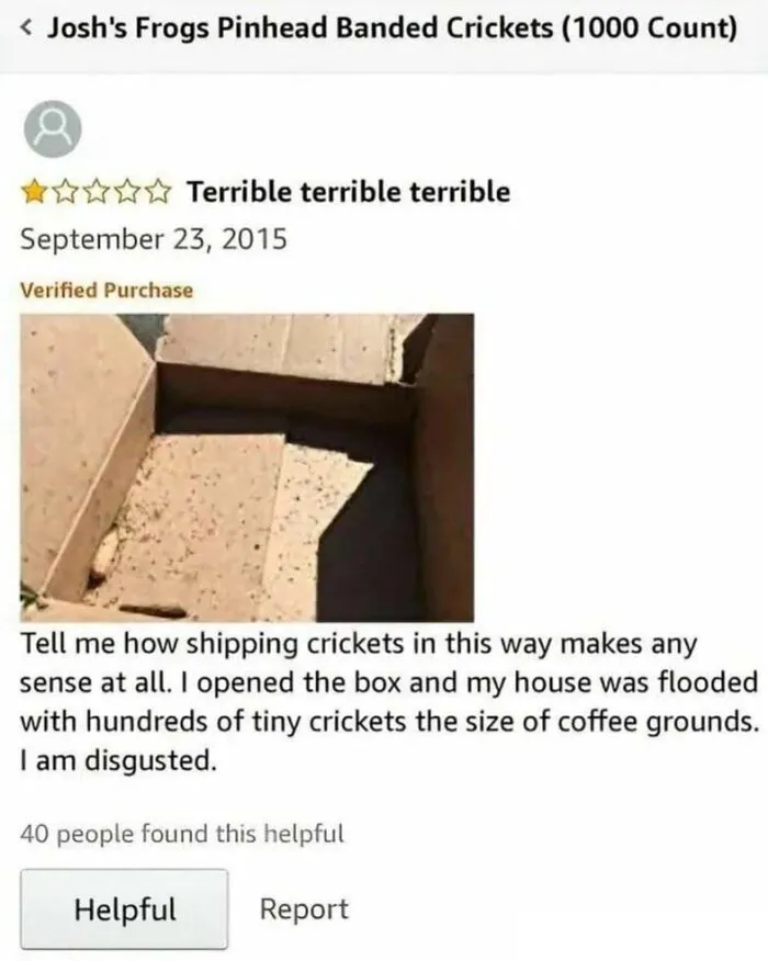 Negative Amazon review of Josh's Frogs Pinhead Banded Crickets with image of empty box