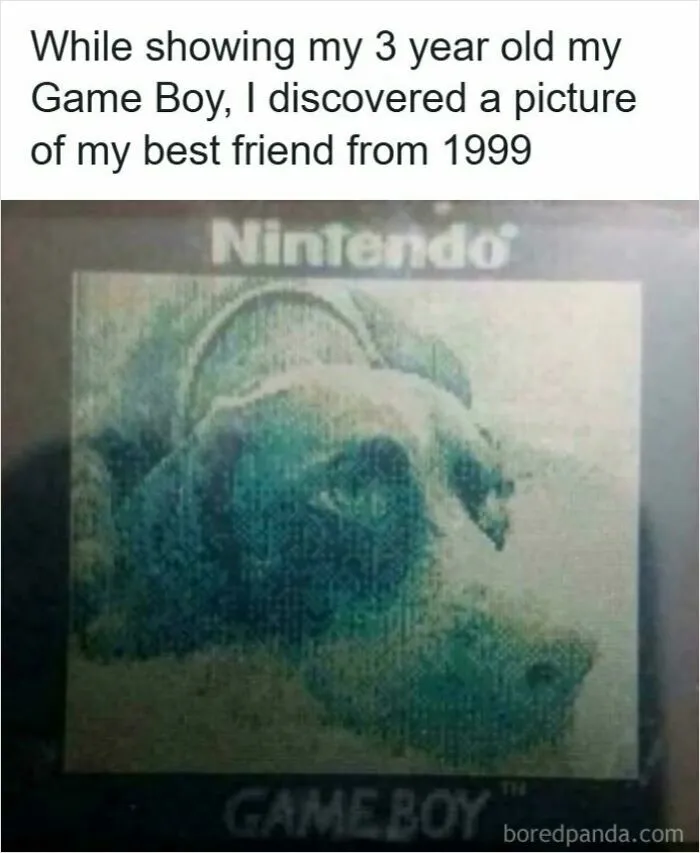 90s nostalgic Game Boy Color showing pixelated dog image from 1999