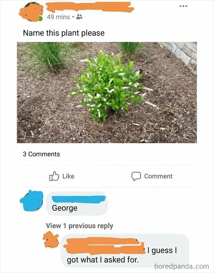 Funny plant identification meme with user naming the plant George