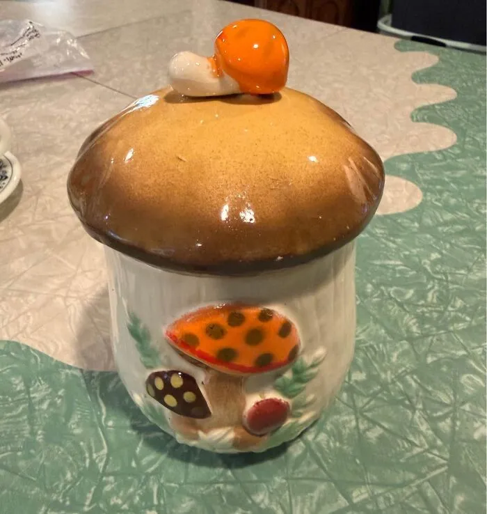 Thrift store mushroom ceramic jar with orange and brown lid