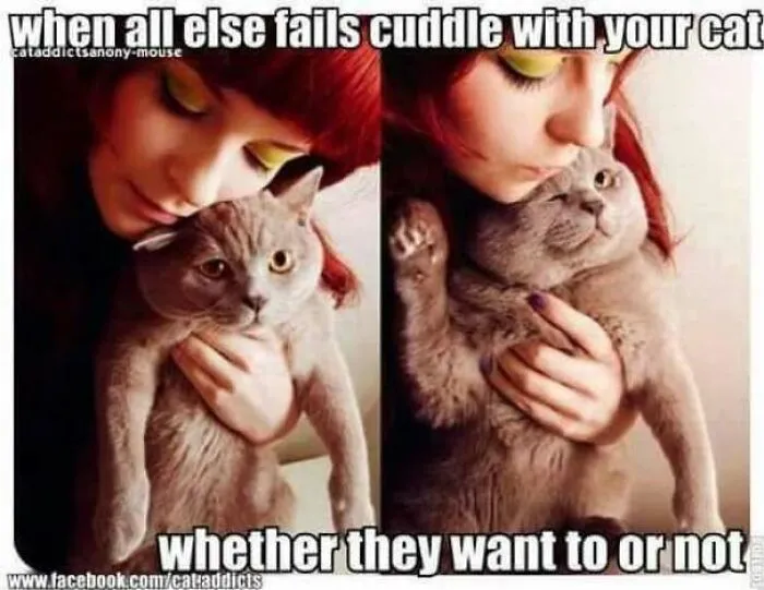 Woman cuddling reluctant cat meme about cuddling cats