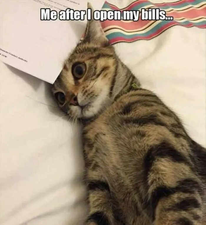 Tabby cat lying down with a shocked face after opening bills old-school cat meme
