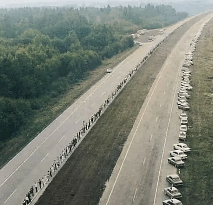 Rare historical photo of people lined up along an empty highway with parked cars