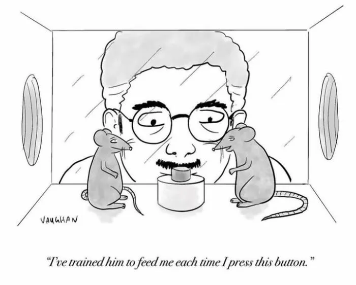 Comic of man watching rats with button feeding them