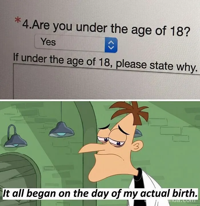 Funny meme about age verification with cartoon character saying it began on birth.