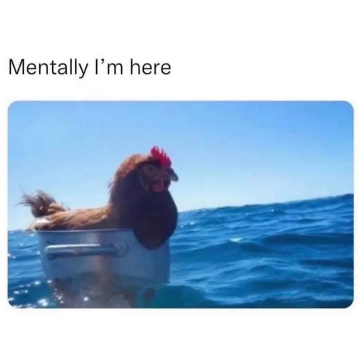 A funny chicken floating in a cooking pot in the middle of the ocean.