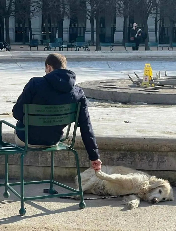 A man sitting in a park chair holding paws with a dog lying on the ground in a random photos moment