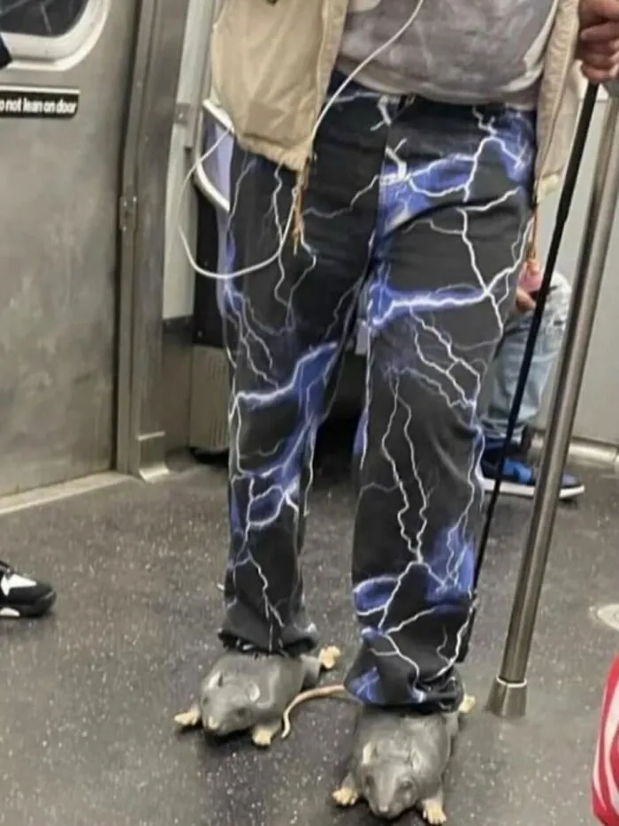 Person wearing lightning print pants and rat-shaped shoes in a subway, one of many random photos.