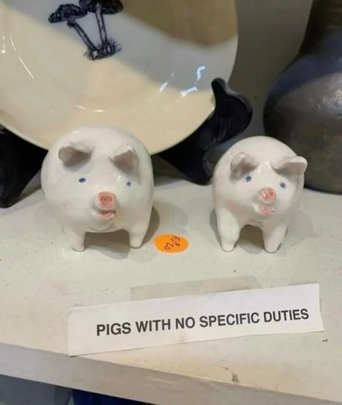 Two weird and funny ceramic pig figurines labelled pigs with no specific duties.