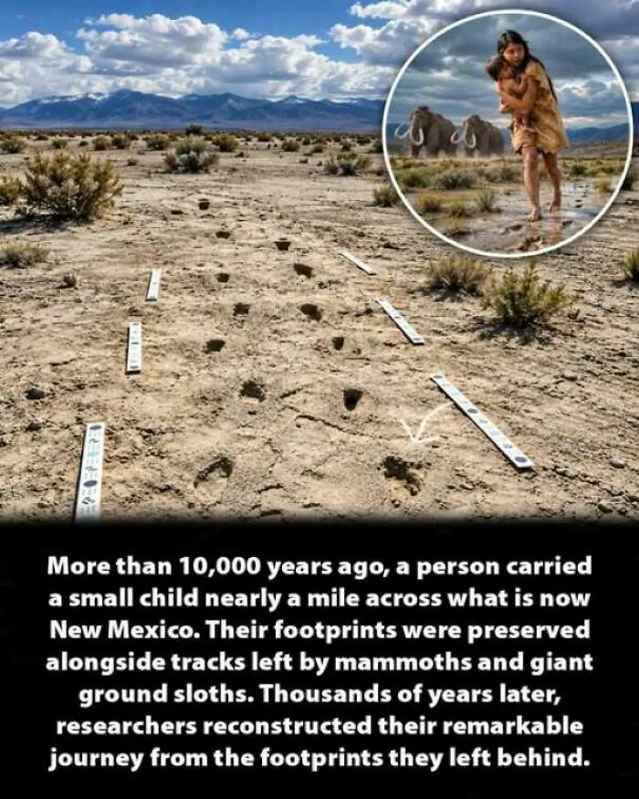 Ancient footprints in New Mexico showing interesting history moments from prehistory