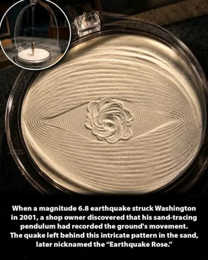 Intricate rose pattern created in sand by a pendulum during an earthquake, reflecting unique history moments.