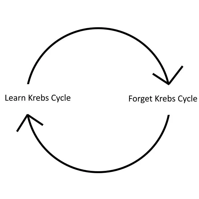 Simple cycle diagram showing learning and forgetting Krebs cycle biology meme
