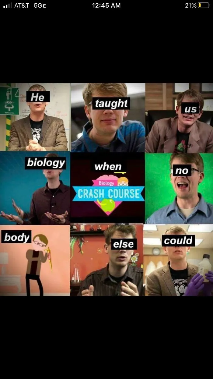 Color spectrum meme comparing human vision to animals with larger color range