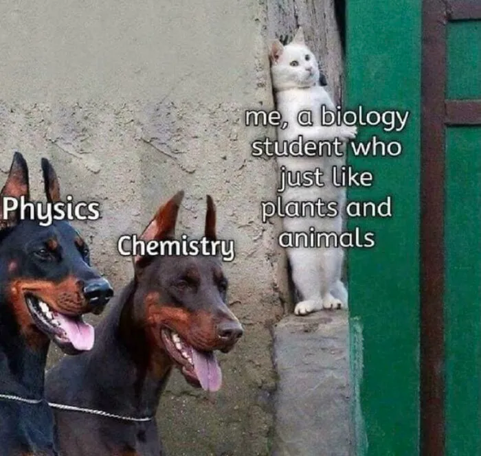 Biology student meme with a cat hiding from physics and chemistry dogs