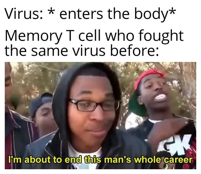 Meme about memory T cells fighting viruses with humor in biology
