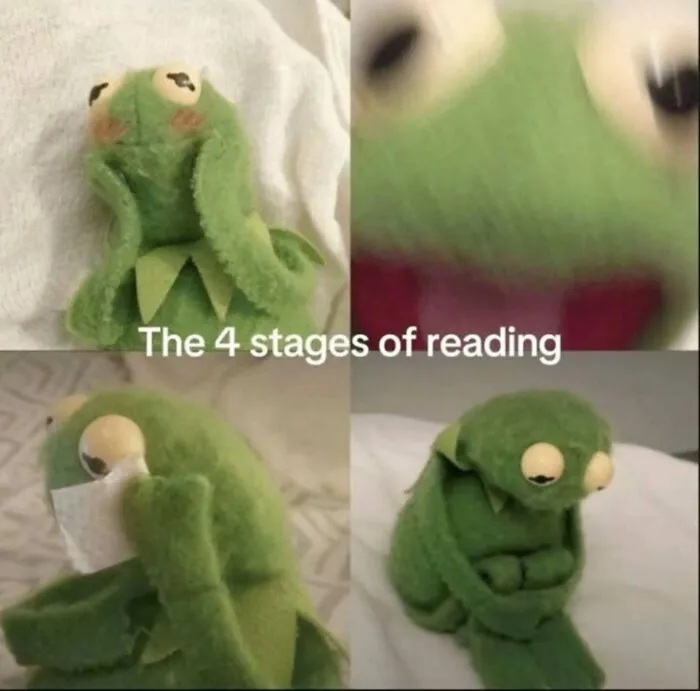 Kermit the Frog showing four expressive stages with funny reading meme caption