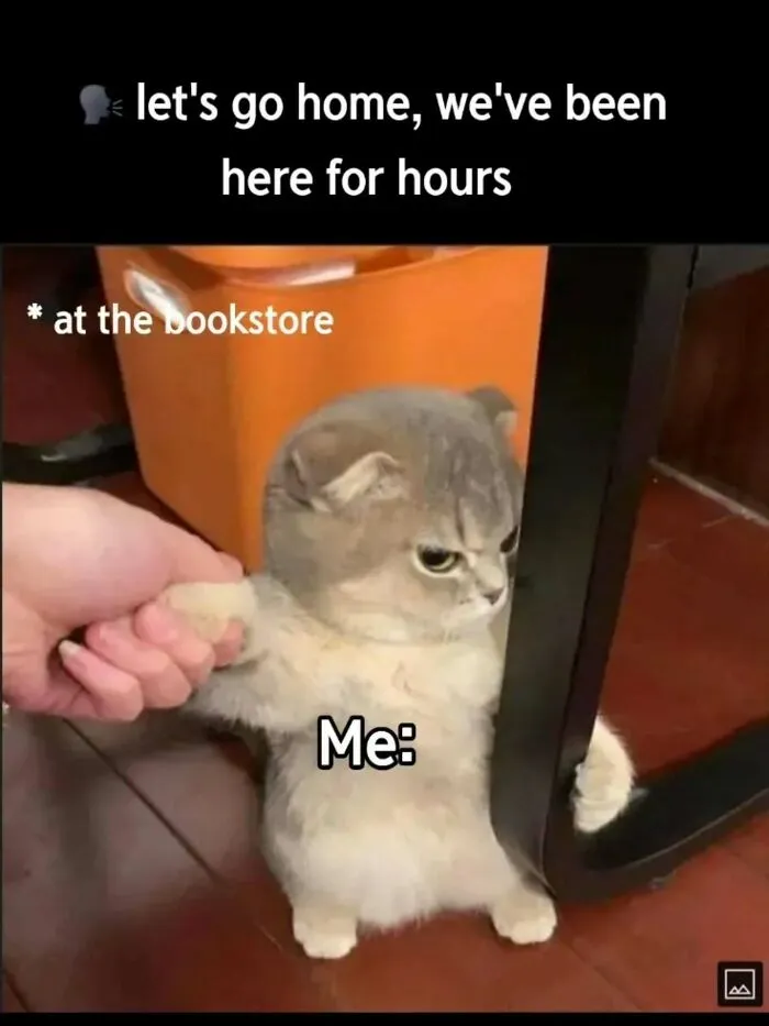 Cat resisting leaving bookstore with funny reading meme