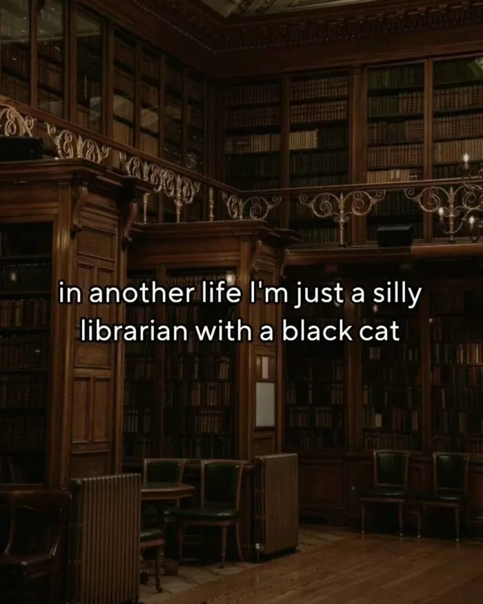 Library interior with caption about being a silly librarian with a black cat in another life