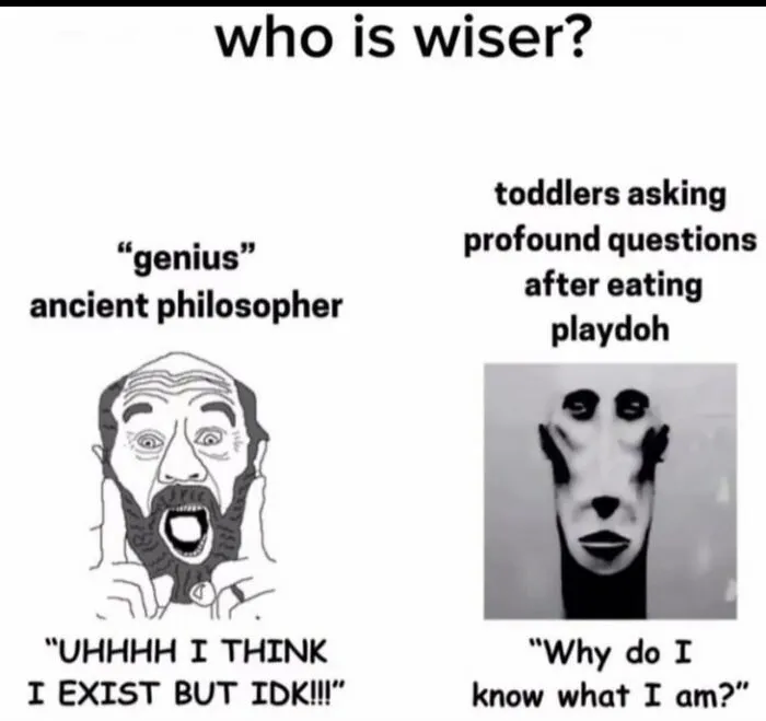 A funny meme comparing an ancient philosopher to a toddler asking profound questions
