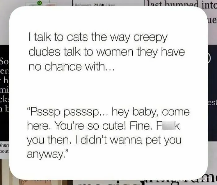 Text post comparing talking to cats to creepy dudes talking to women with no chance.