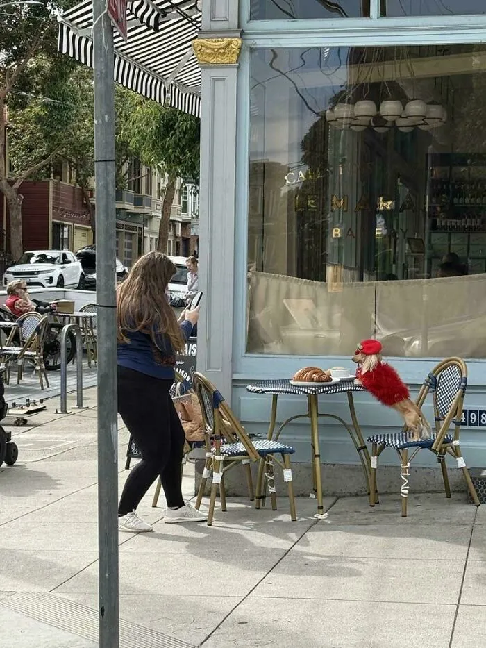 Woman posing a dog in a red coat outside a cafe for influencers content studio photos