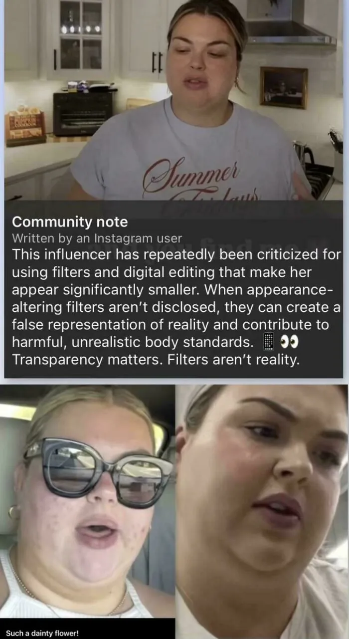 Screenshot of a community note calling out influencers using heavy filters.