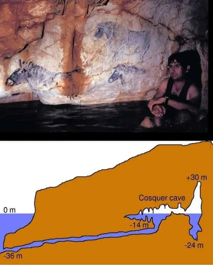 Historical cave paintings of horses, offering surprising facts about the past and ancient art.