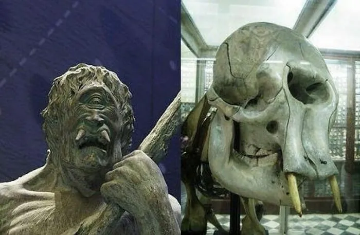 Sculpture of a cyclops next to a dwarf elephant skull showing facts about the past and origin of legendary creatures.