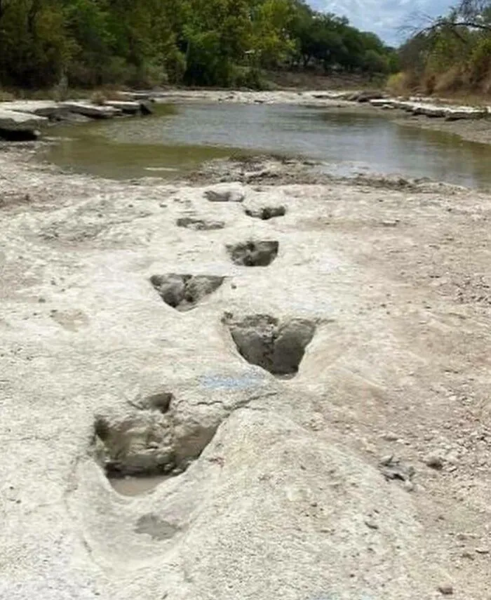 Preserved fossilized dinosaur footprints in a riverbed, a surprising fact about history.