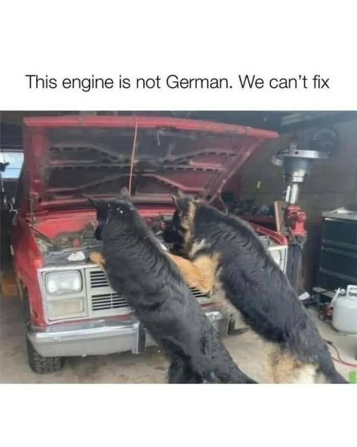 Dog memes featuring German Shepherds inspecting a car engine