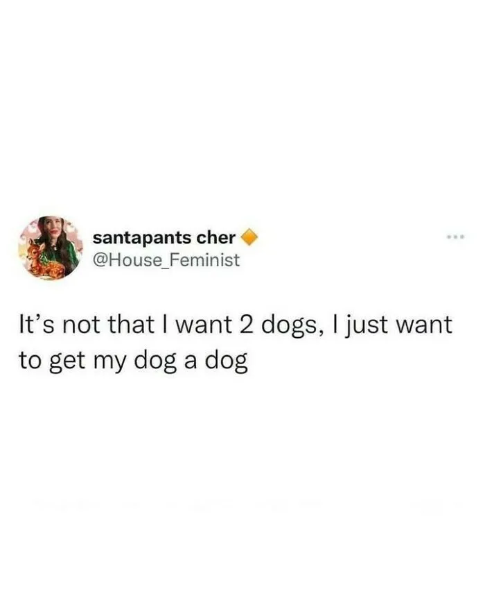 Funny dog memes post about wanting to get a dog for another dog