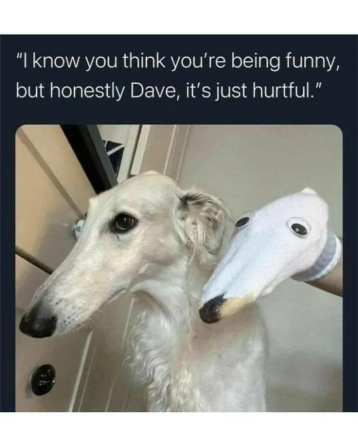 Funny dog memes featuring a long-nosed Borzoi dog standing next to a sock puppet made to look like its snout.