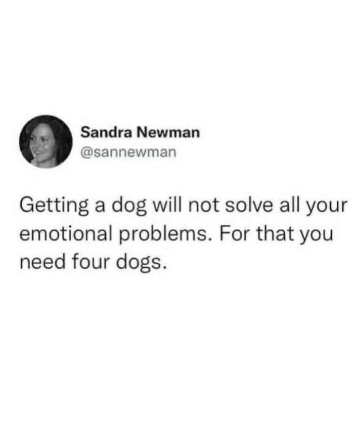 Social media text tweet about how getting four dogs solves emotional problems, representing hilarious dog memes.