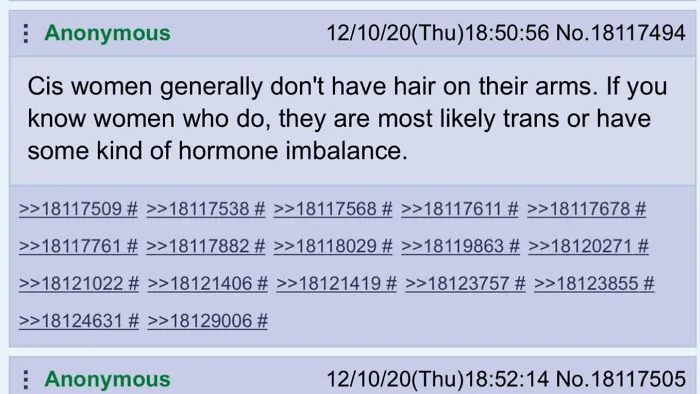 Forum post with wrong takes on female anatomy incorrectly claiming women do not have arm hair