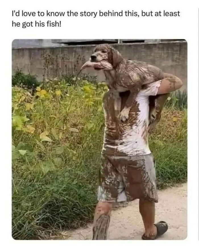 Hilarious dog memes image showing a muddy man carrying a muddy dog holding a fish in its mouth.