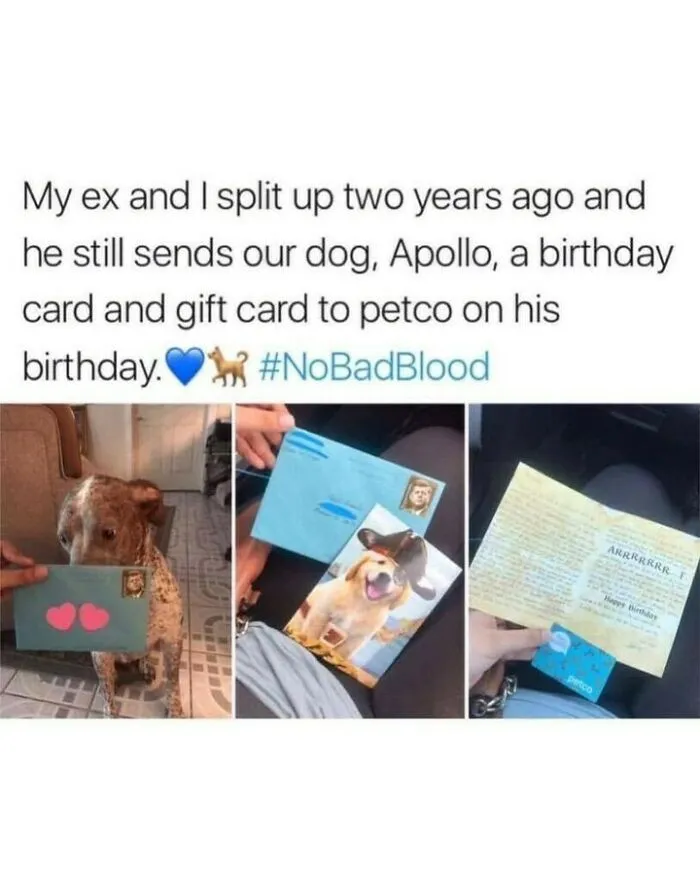 Dog holding a letter from an ex-partner in a funny dog meme about birthday cards.