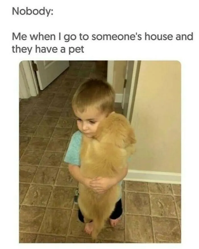 Cute dog memes of a little boy hugging a golden retriever puppy tightly in the hallway.