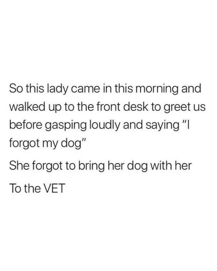 Funny text-based dog memes about a owner who forgot to bring her pet to the vet appointment