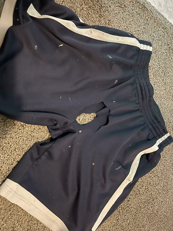 Pair of dark athletic shorts with a large hole, demonstrating things partners do that drive people insane.
